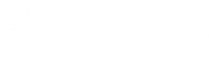 AVS Technologies logo